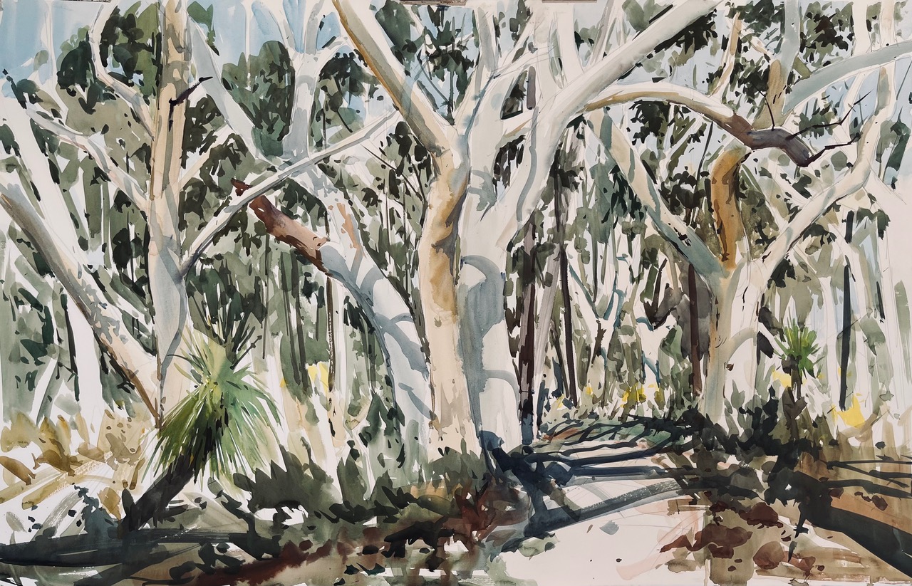 Tim Copes Watercolour Prize 2025
